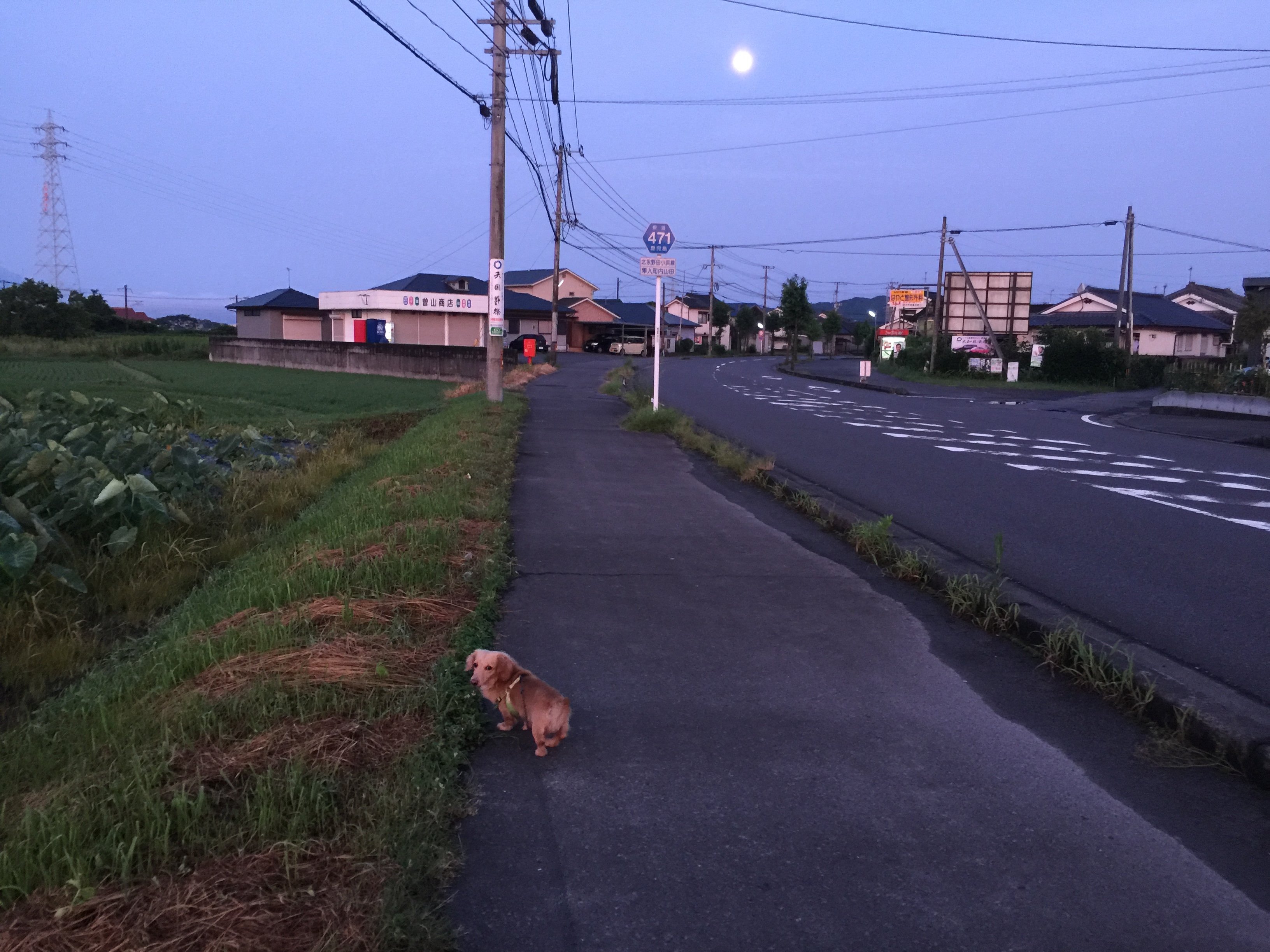 http://hashiguchi-seikotu.com/blog/about/2016.7.21.JPG