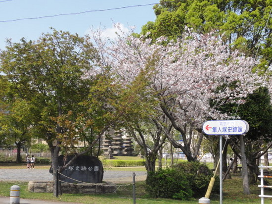 隼人塚の桜.JPG