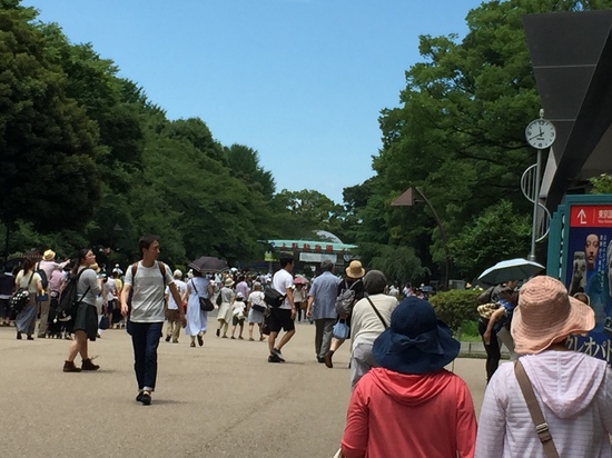 2015.6.28上野動物園.JPG