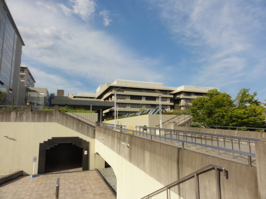 京都大学.JPG