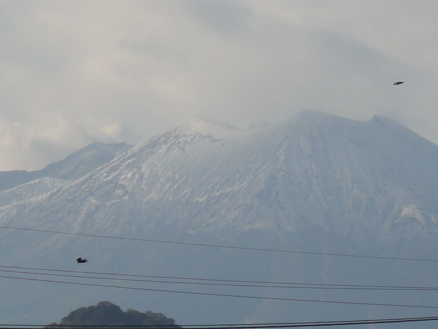 桜島初雪１.JPG