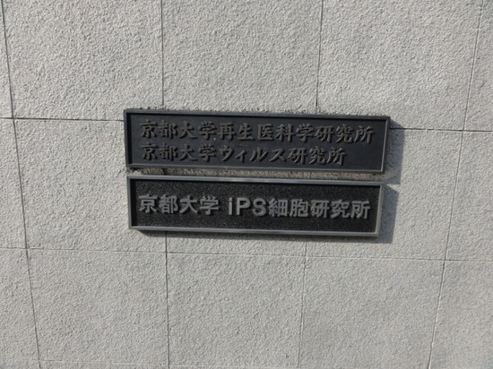IPS研究所.JPG