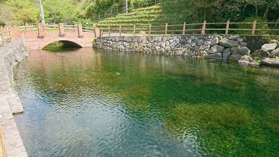 水が湧くと書いて湧水町！