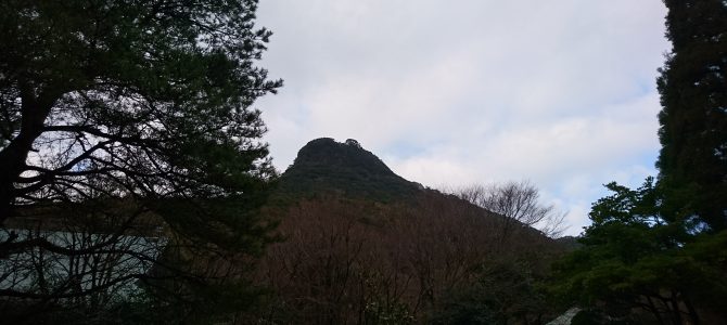平成31年2月10日 平成31年2月10日